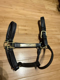 Walsh Signature Padded Halter-Horse