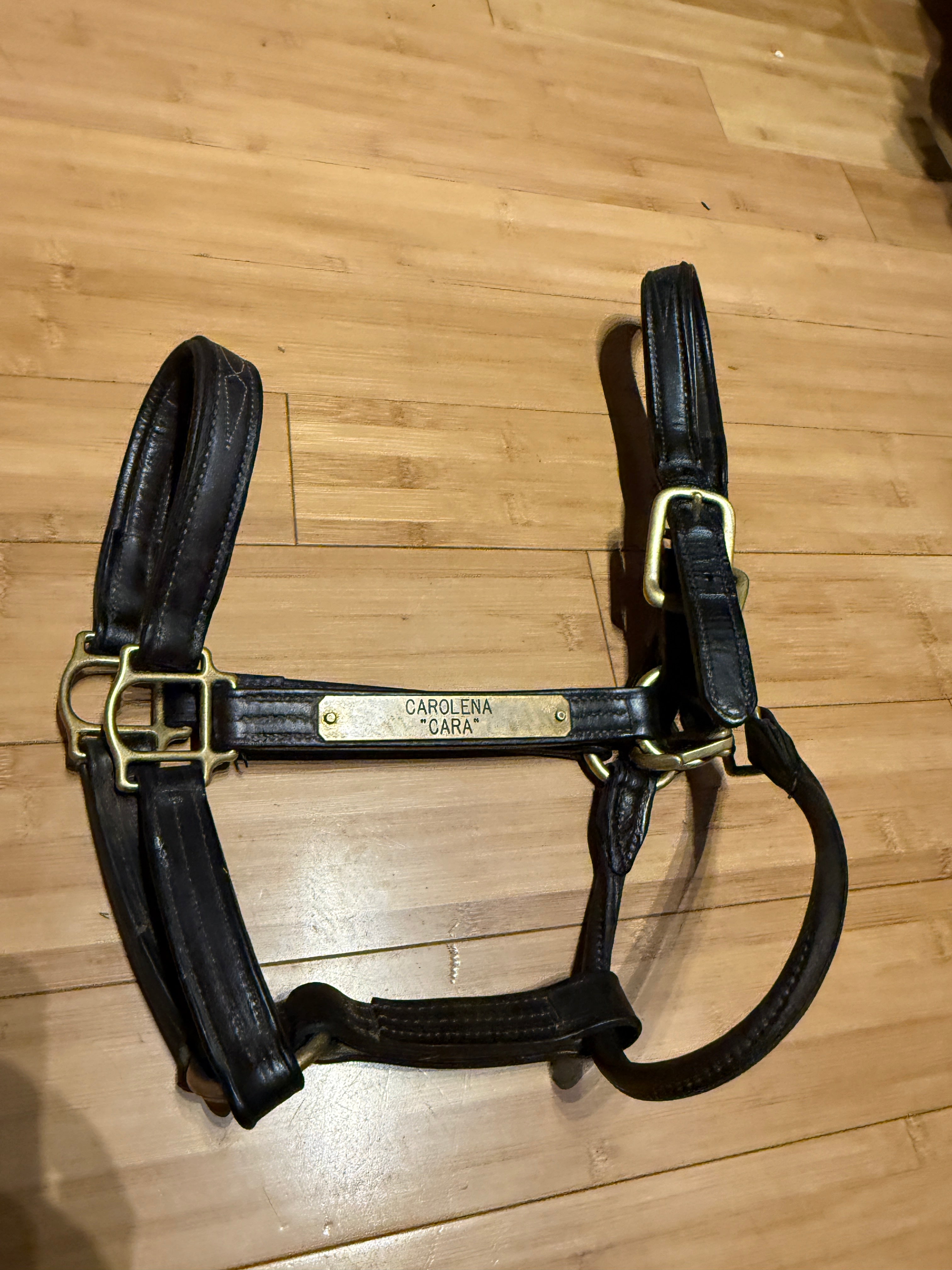 Walsh Signature Padded Halter-Horse