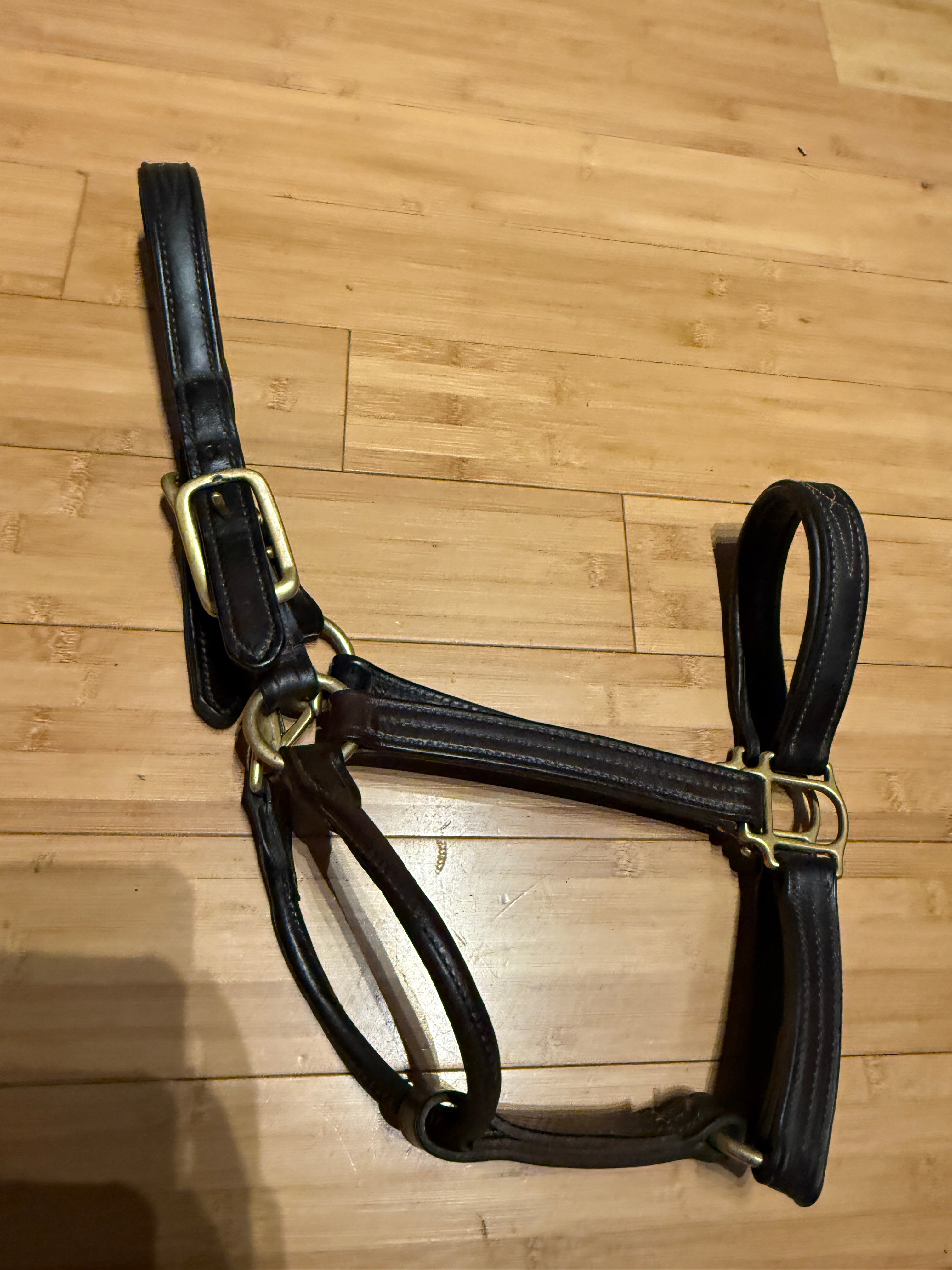 Walsh Signature Padded Halter-Horse