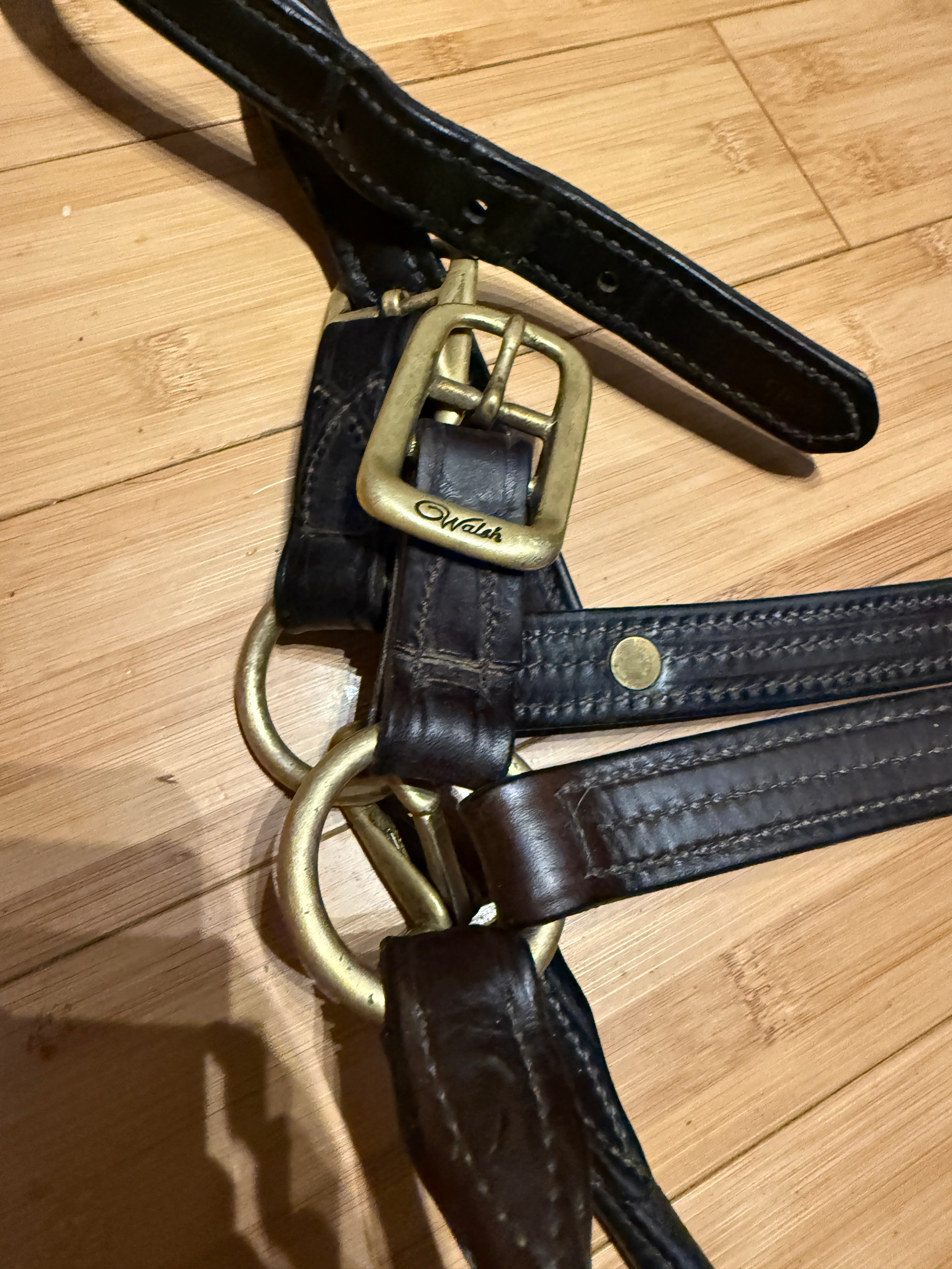 Walsh Signature Padded Halter-Horse
