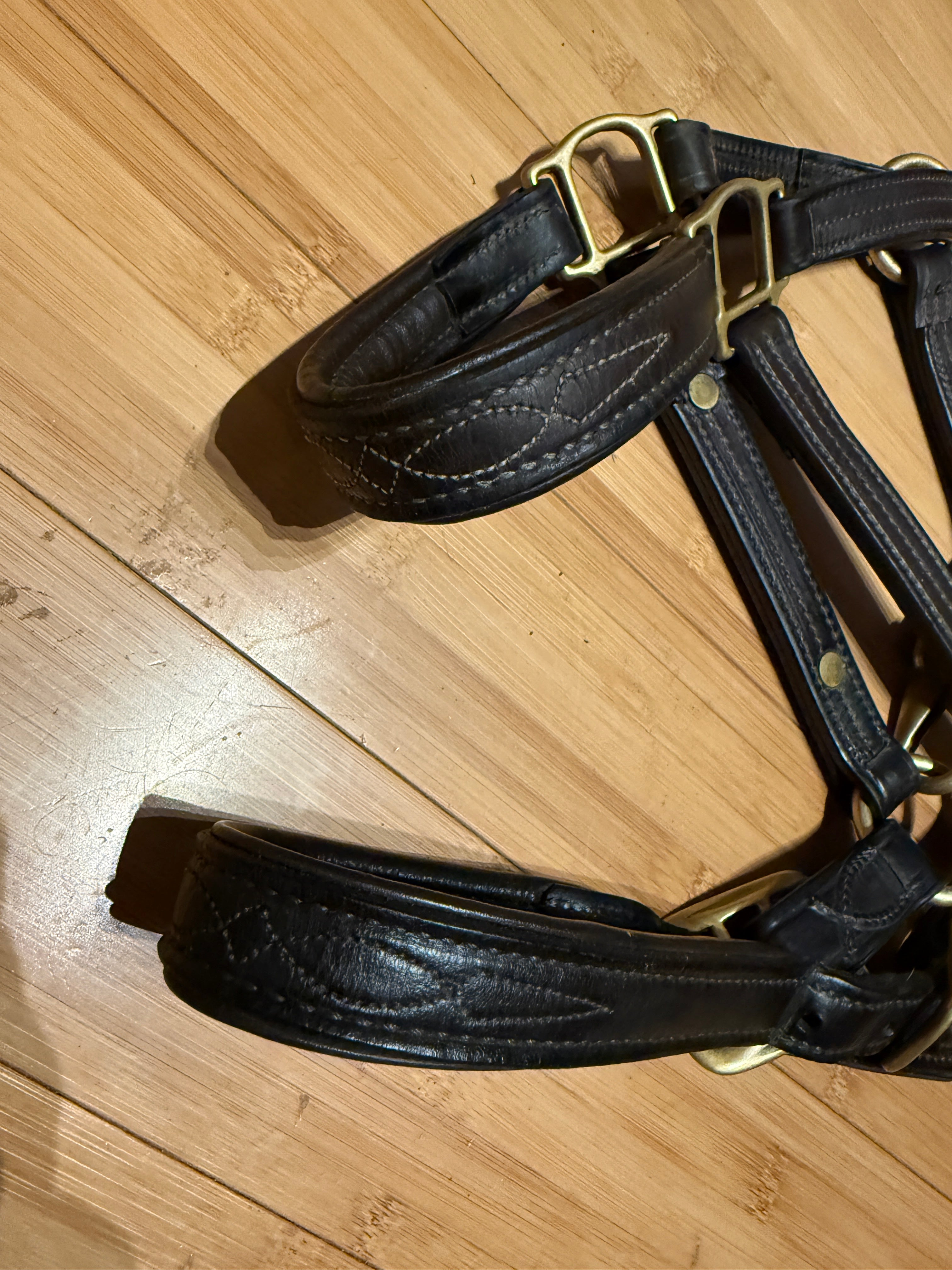 Walsh Signature Padded Halter-Horse