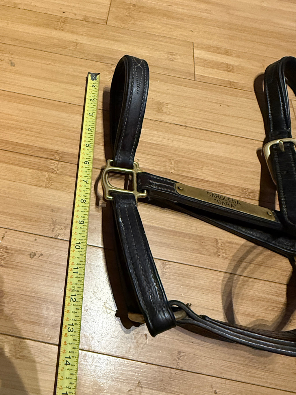Walsh Signature Padded Halter-Horse