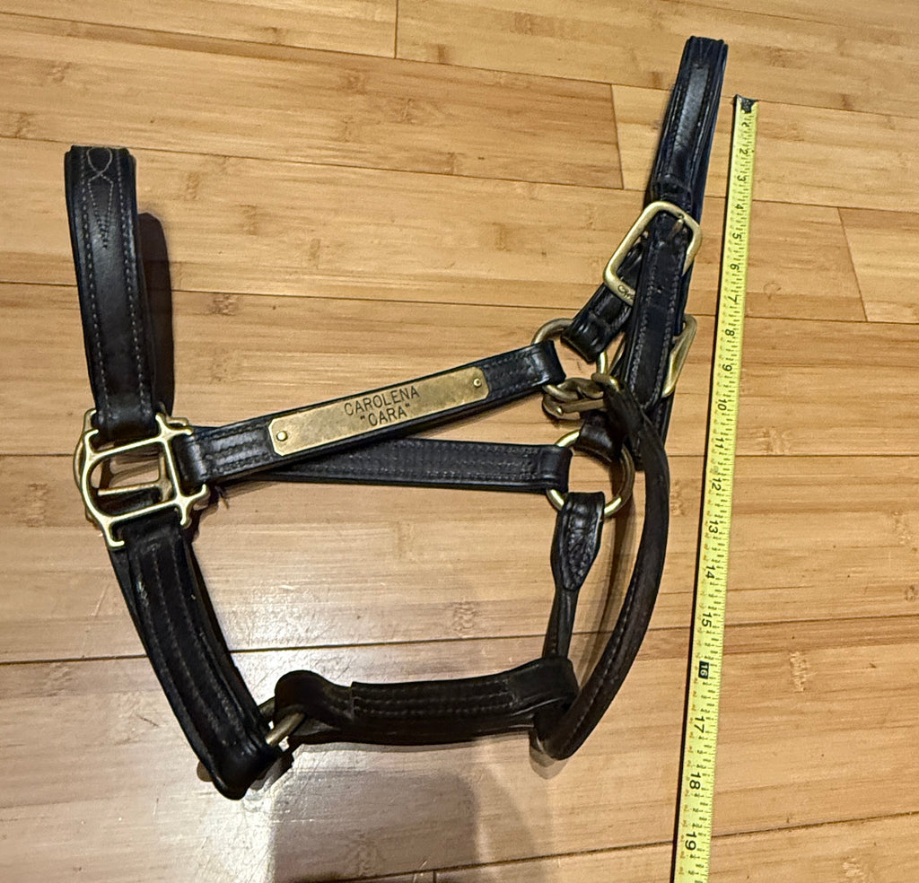 Walsh Signature Padded Halter-Horse