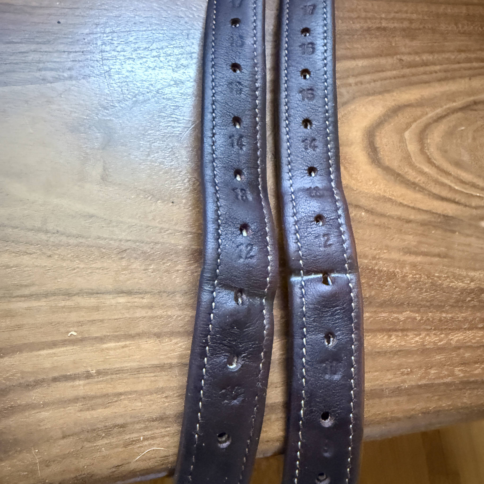 Circuit Lined Stirrup Leathers-48"